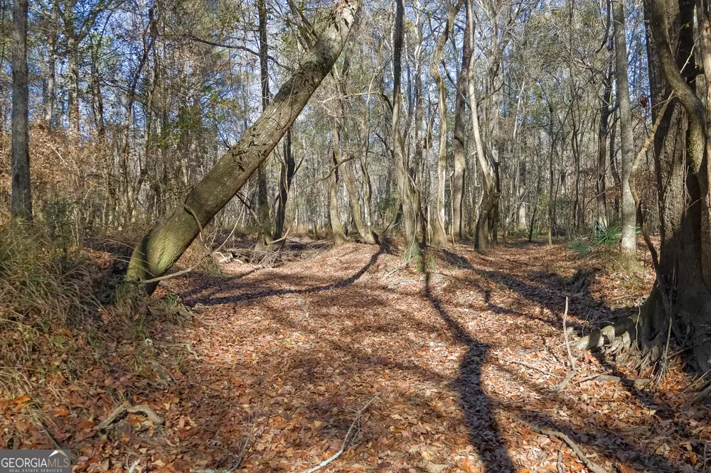 557 Limestone RD Cochran, GA 31014