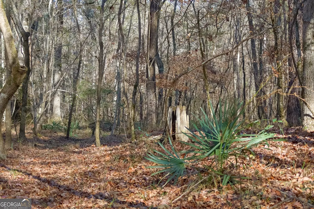 557 Limestone RD Cochran, GA 31014