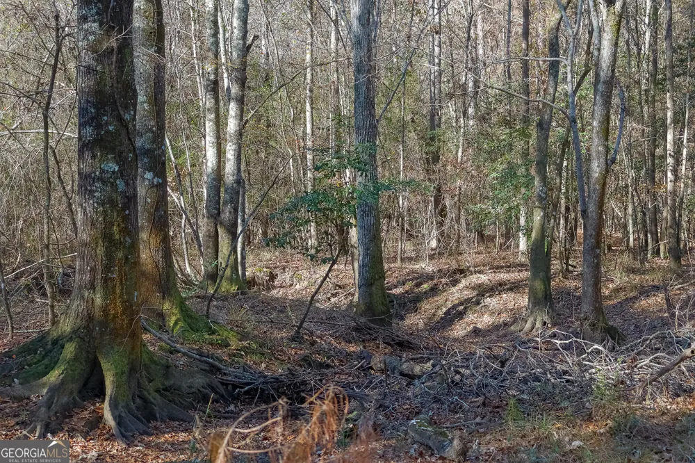 557 Limestone RD Cochran, GA 31014