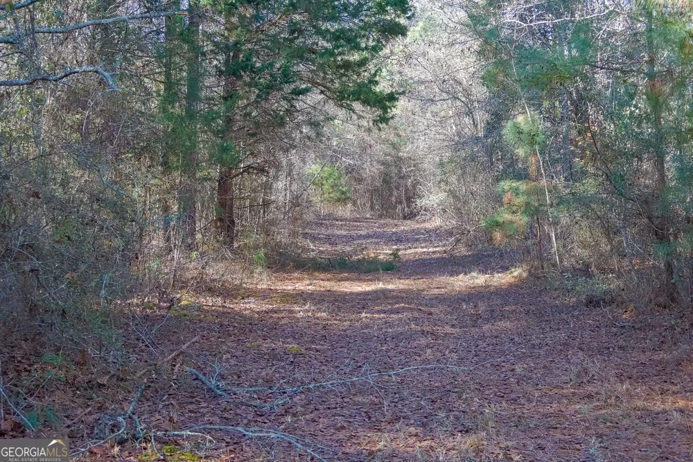 557 Limestone RD Cochran, GA 31014