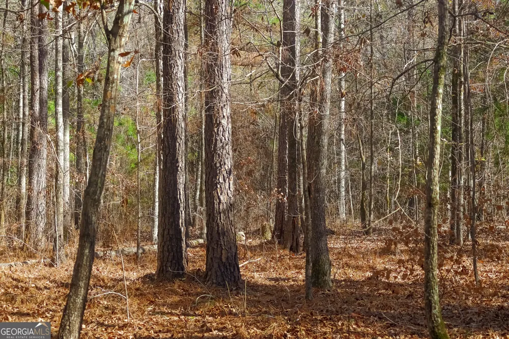557 Limestone RD Cochran, GA 31014