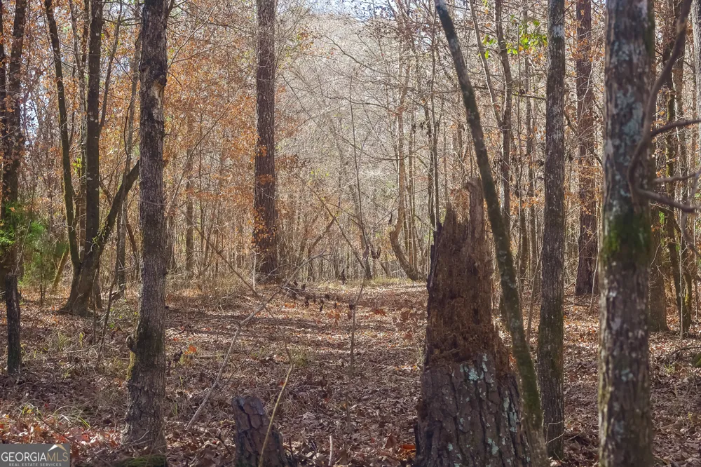 557 Limestone RD Cochran, GA 31014