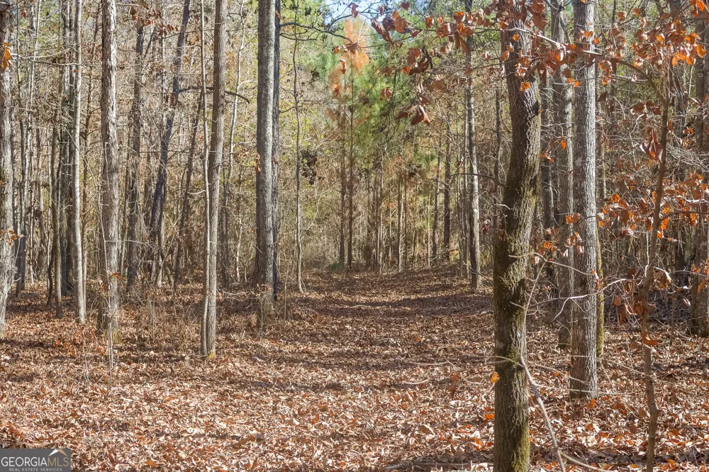 557 Limestone RD Cochran, GA 31014