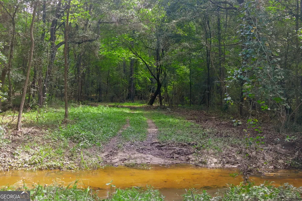 557 Limestone RD Cochran, GA 31014