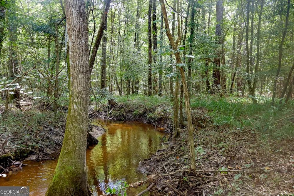 557 Limestone RD Cochran, GA 31014