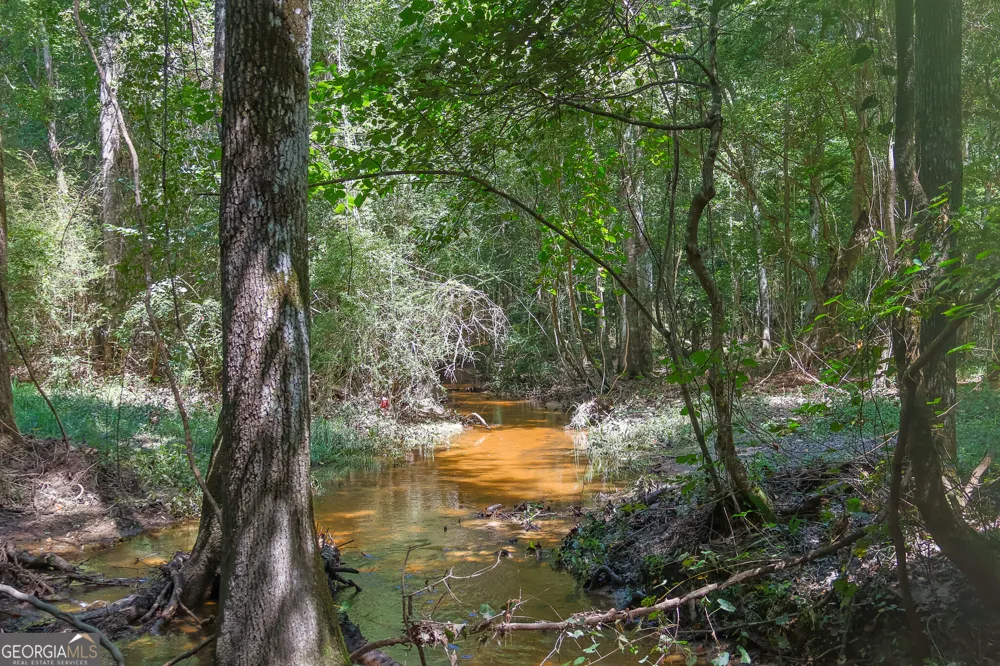 557 Limestone RD Cochran, GA 31014