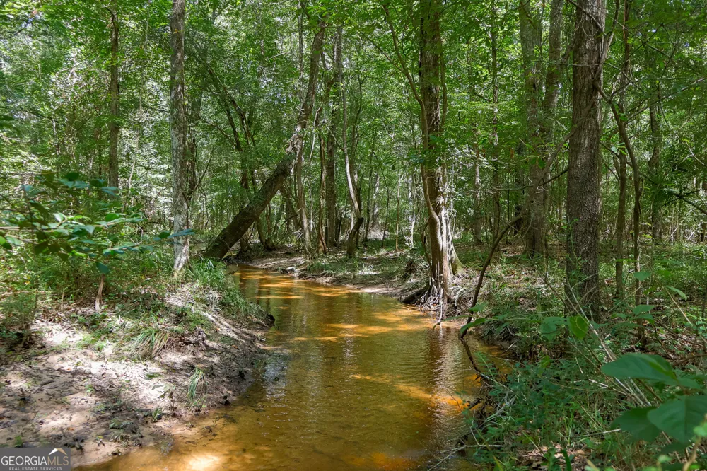 557 Limestone RD Cochran, GA 31014
