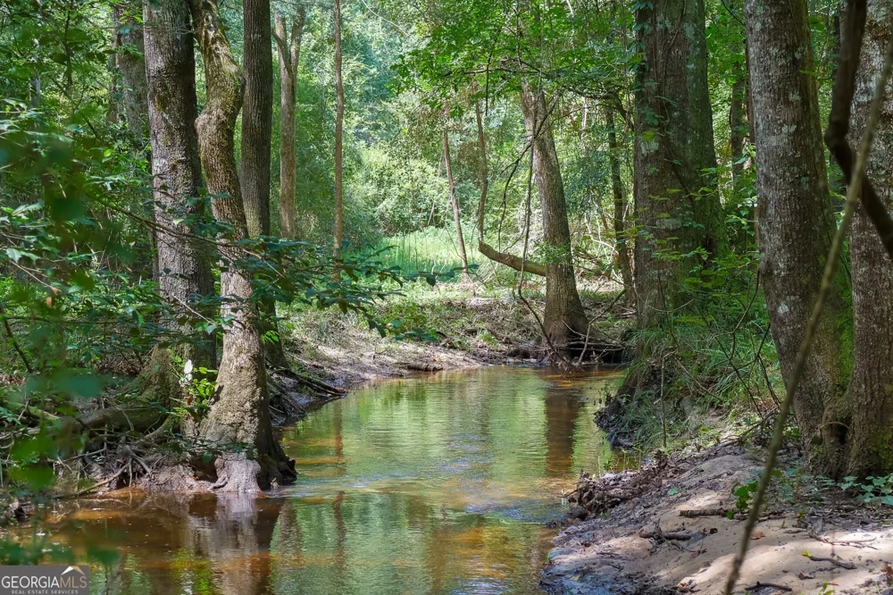 557 Limestone RD Cochran, GA 31014