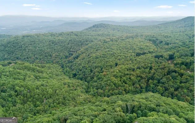 232 Andes Ridge Ellijay, GA 30540