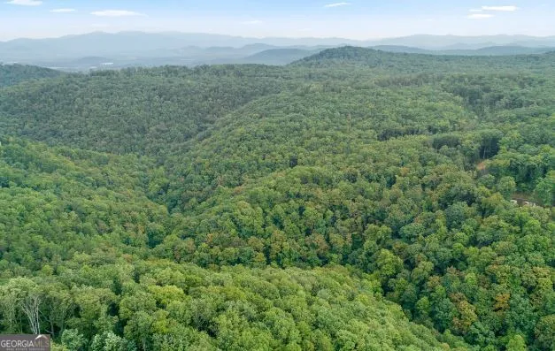232 Andes Ridge Ellijay, GA 30540