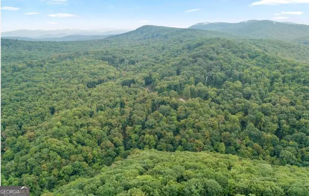 232 Andes Ridge Ellijay, GA 30540