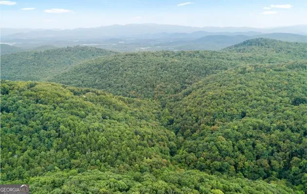 232 Andes Ridge Ellijay, GA 30540