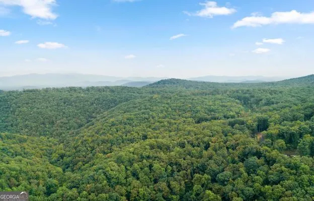 232 Andes Ridge Ellijay, GA 30540