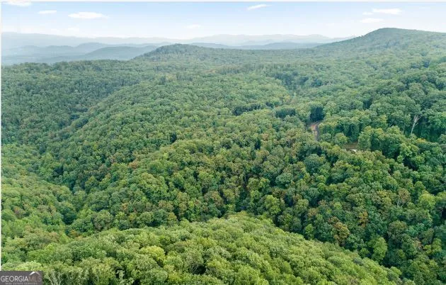 232 Andes Ridge Ellijay, GA 30540