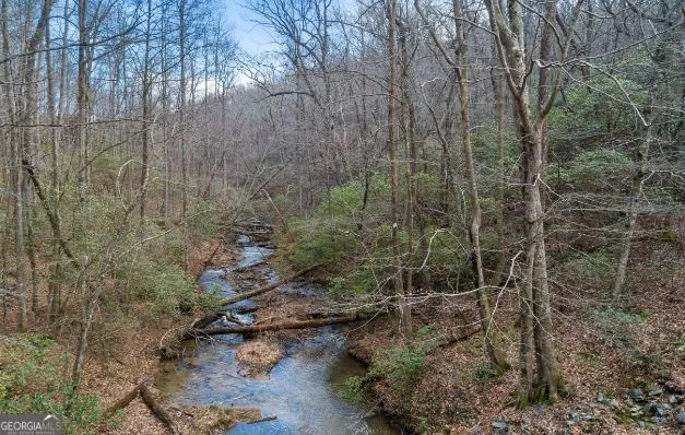 232 Andes Ridge Ellijay, GA 30540