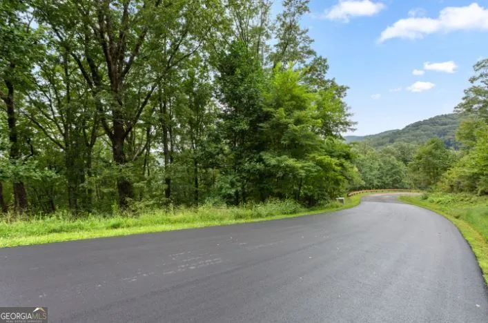 232 Andes Ridge Ellijay, GA 30540