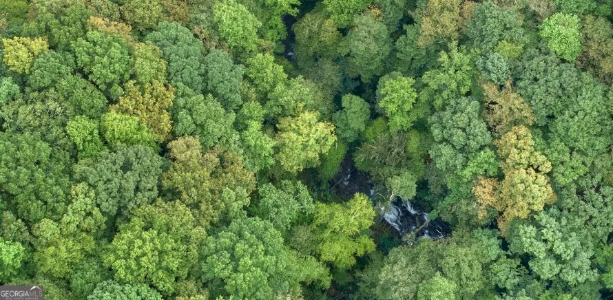 232 Andes Ridge Ellijay, GA 30540