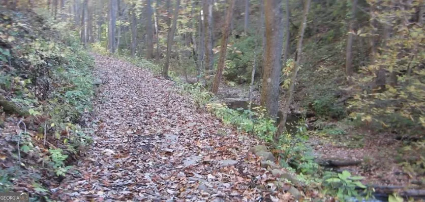 232 Andes Ridge Ellijay, GA 30540