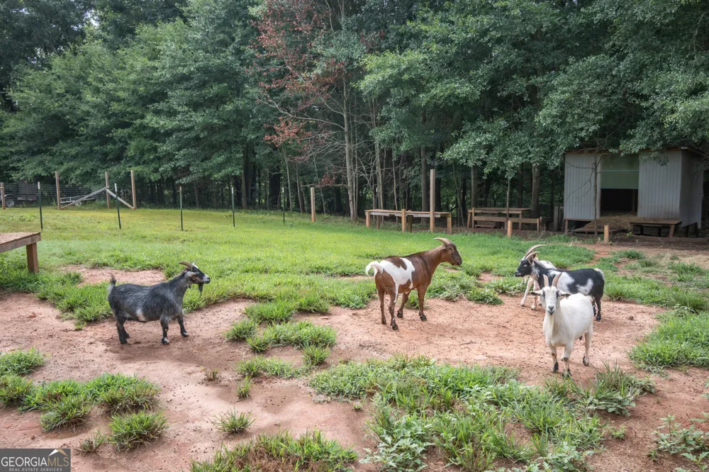 2014 Athens RD Royston, GA 30662