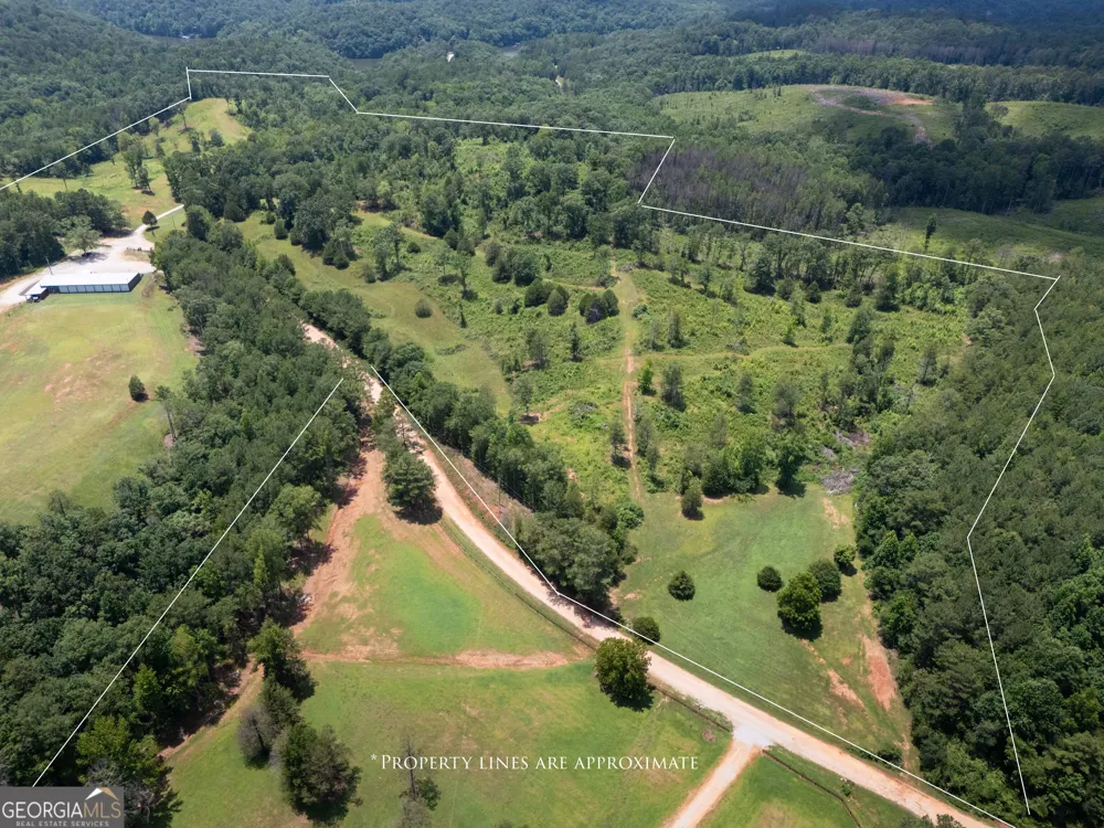 1310 County Road 269 Wedowee, AL 36278