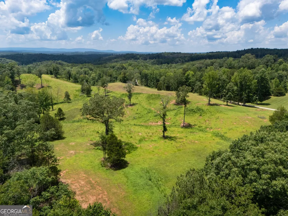 1310 County Road 269 Wedowee, AL 36278