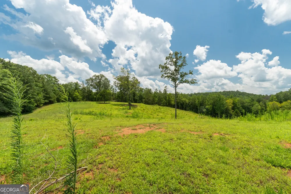 1310 County Road 269 Wedowee, AL 36278
