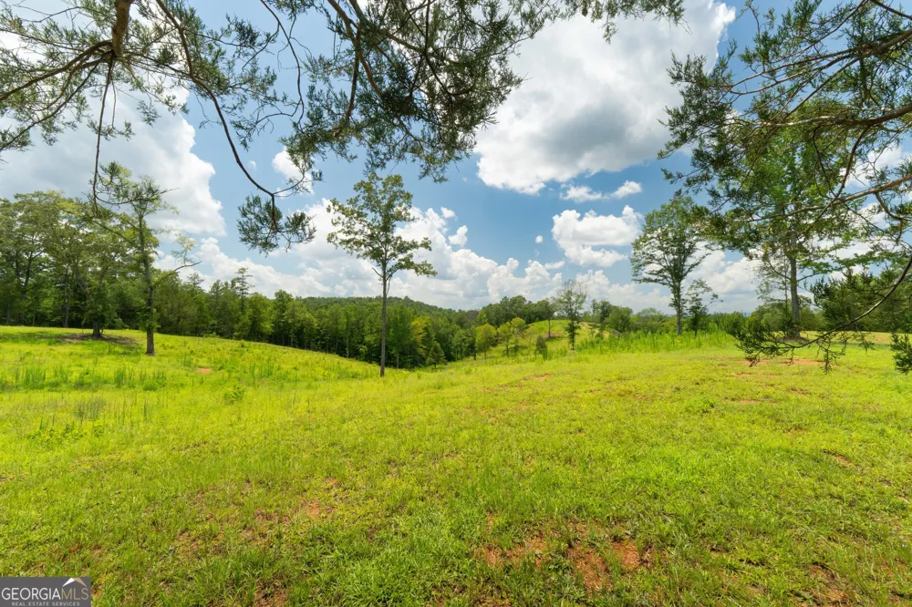 1310 County Road 269 Wedowee, AL 36278