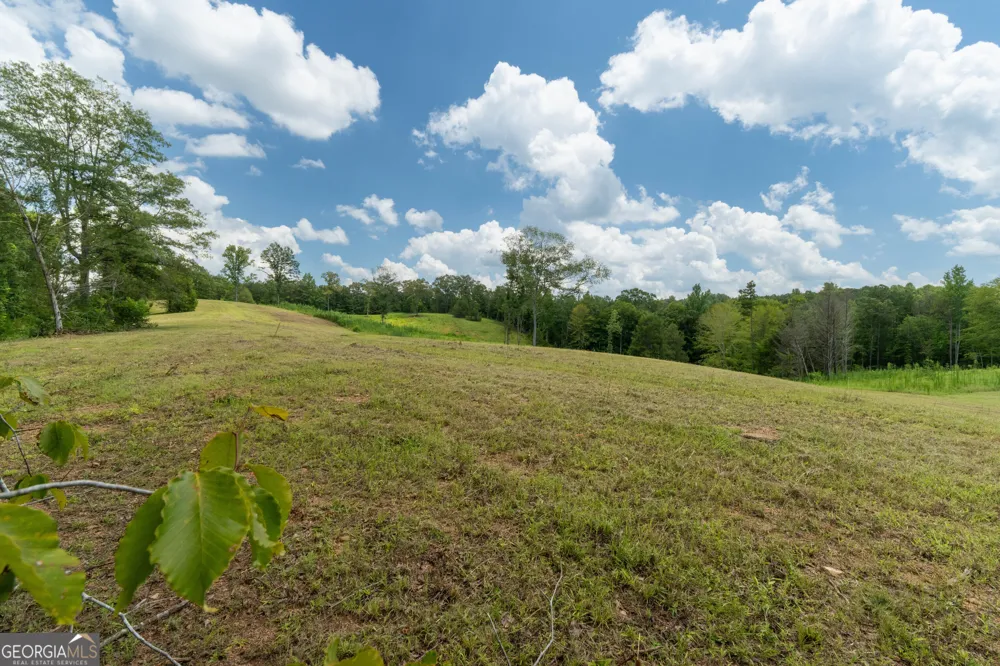 1310 County Road 269 Wedowee, AL 36278