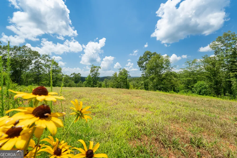 1310 County Road 269 Wedowee, AL 36278