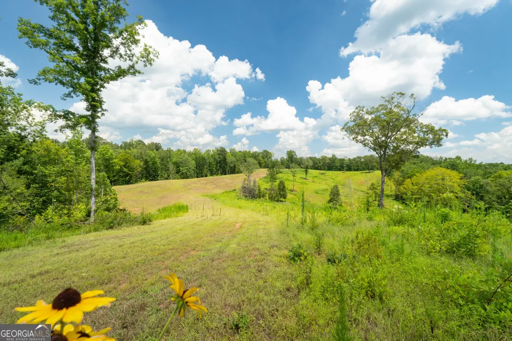1310 County Road 269 Wedowee, AL 36278