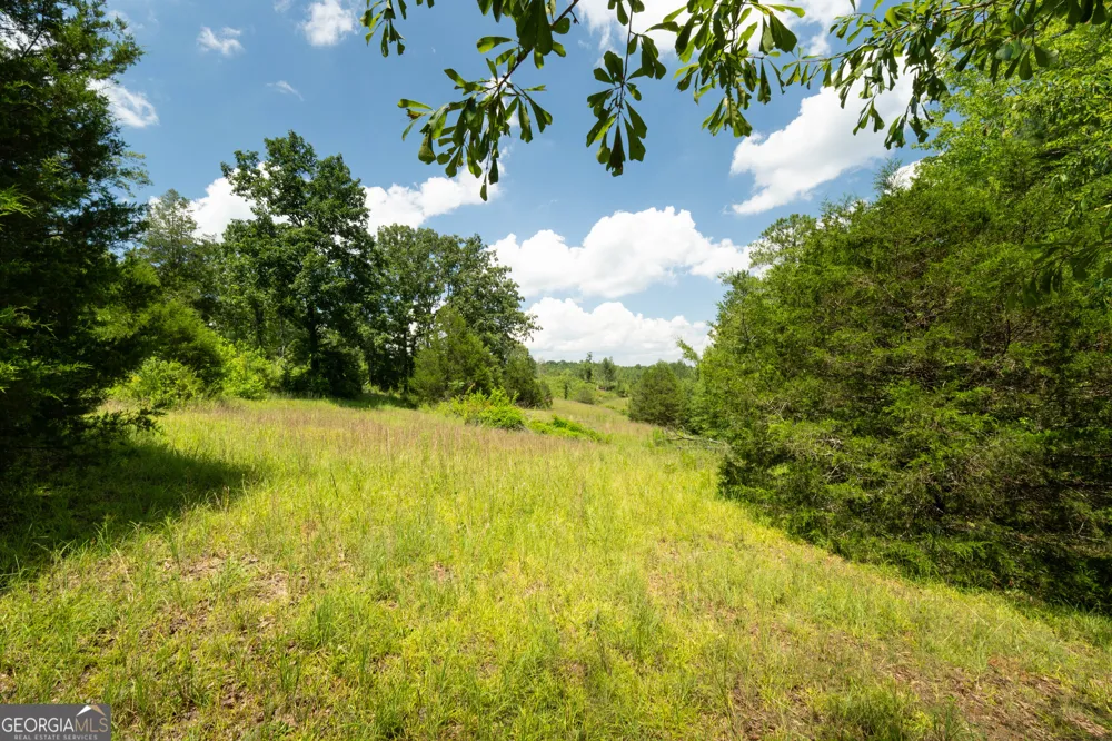 1310 County Road 269 Wedowee, AL 36278