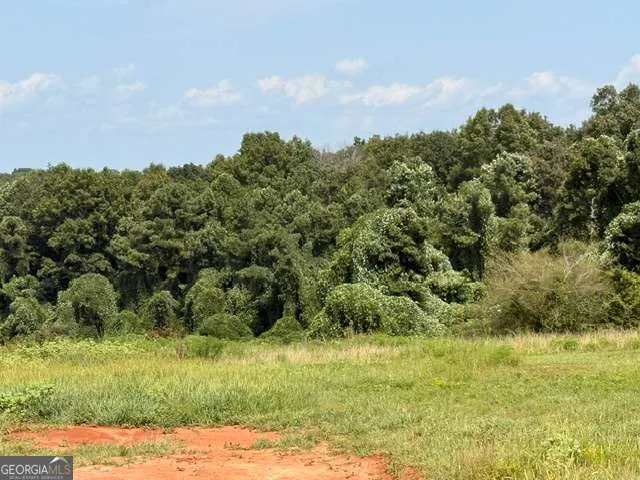 0 Rainey RD Temple, GA 30179