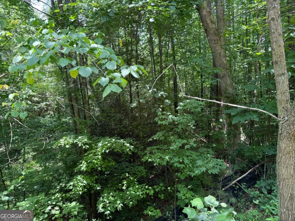 LOT E9 Reece Mountain RD Ellijay, GA 30536