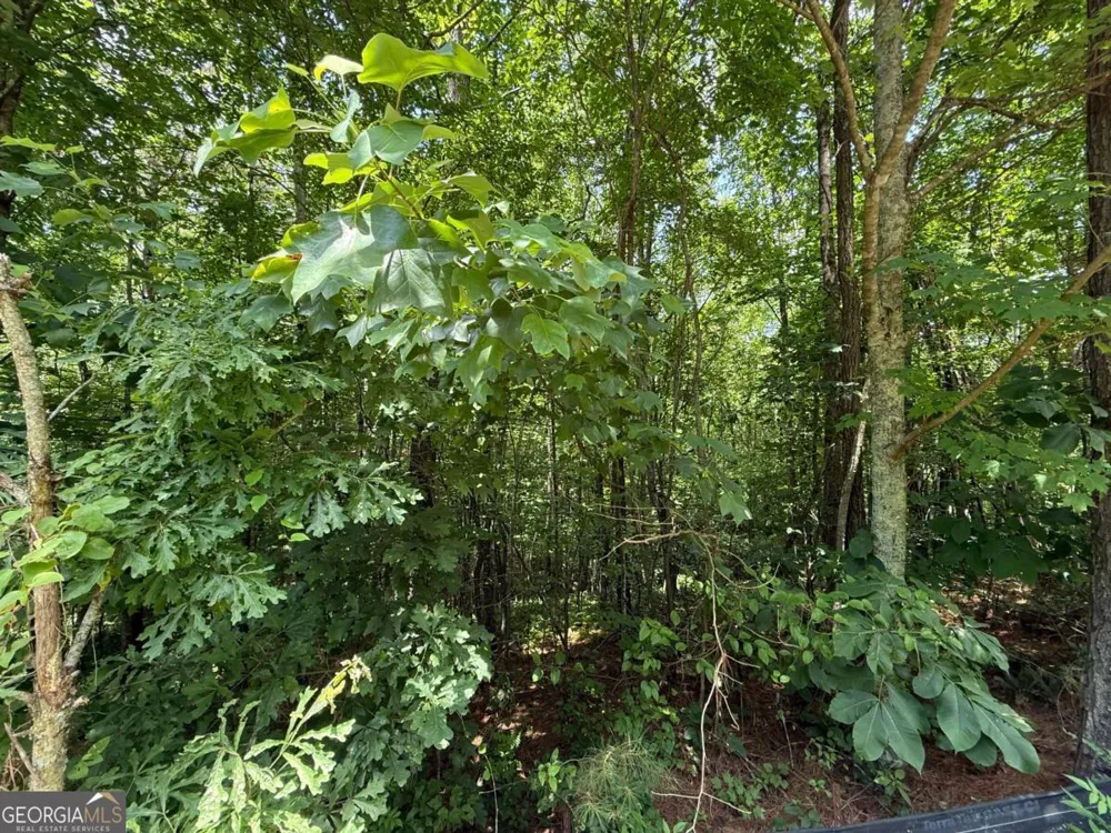 LOT E9 Reece Mountain RD Ellijay, GA 30536