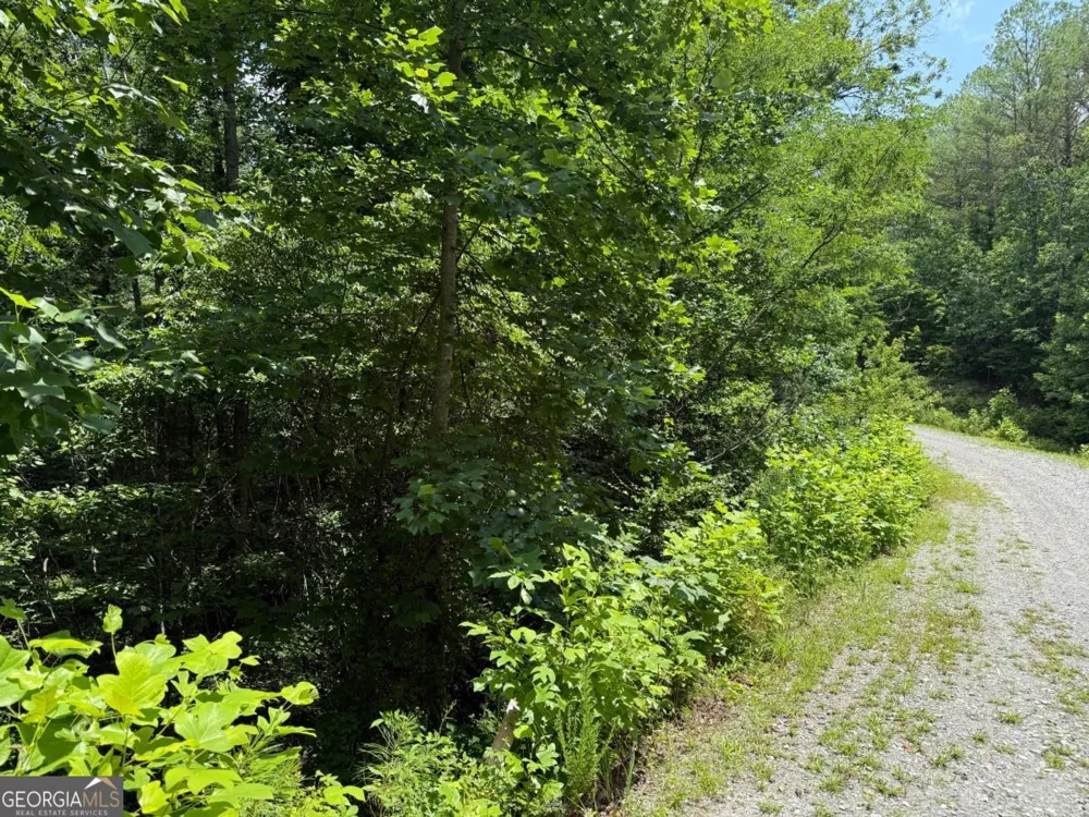 LOT E9 Reece Mountain RD Ellijay, GA 30536