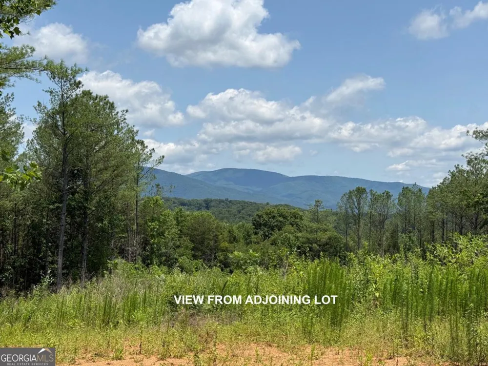 LOT E9 Reece Mountain RD Ellijay, GA 30536