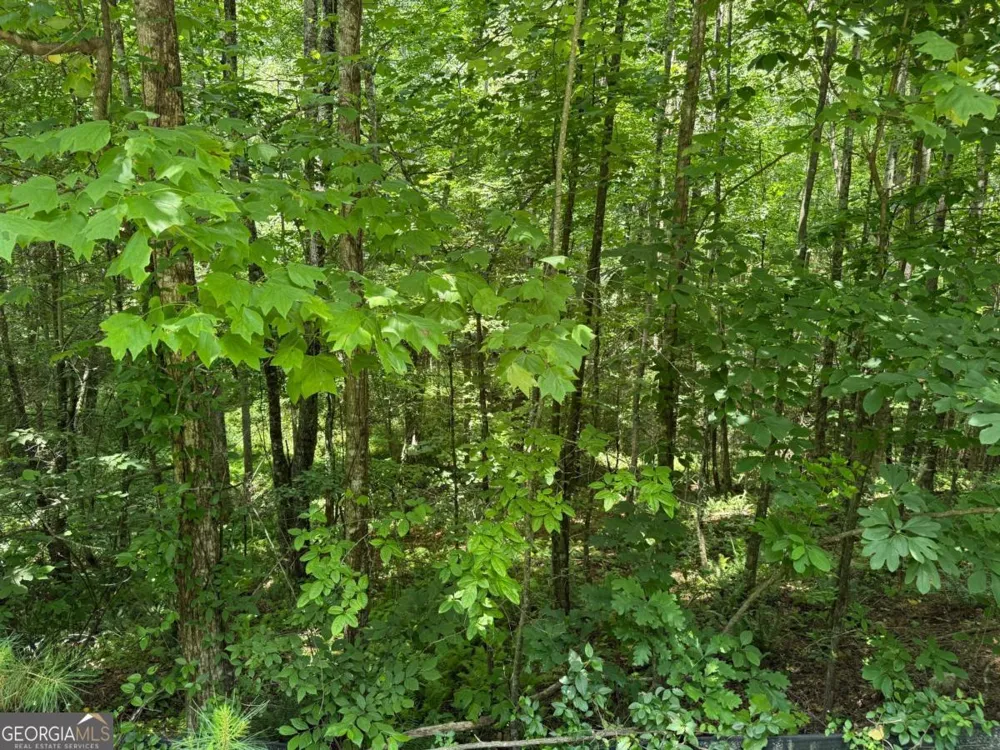 LOT E9 Reece Mountain RD Ellijay, GA 30536