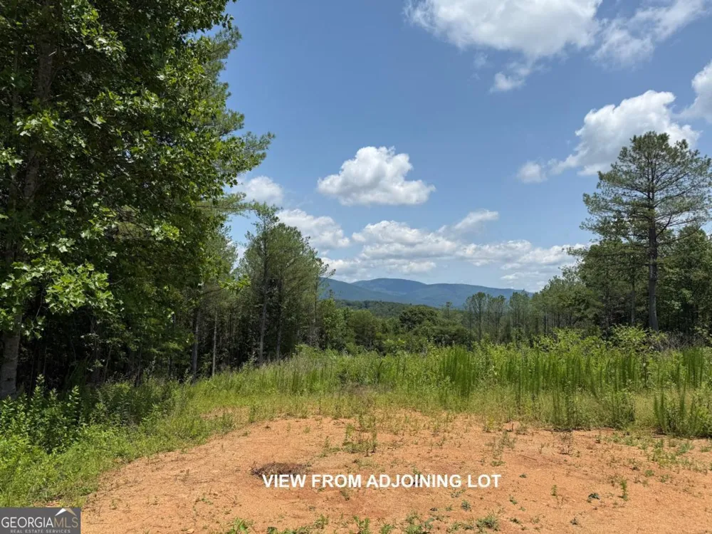 LOT E9 Reece Mountain RD Ellijay, GA 30536