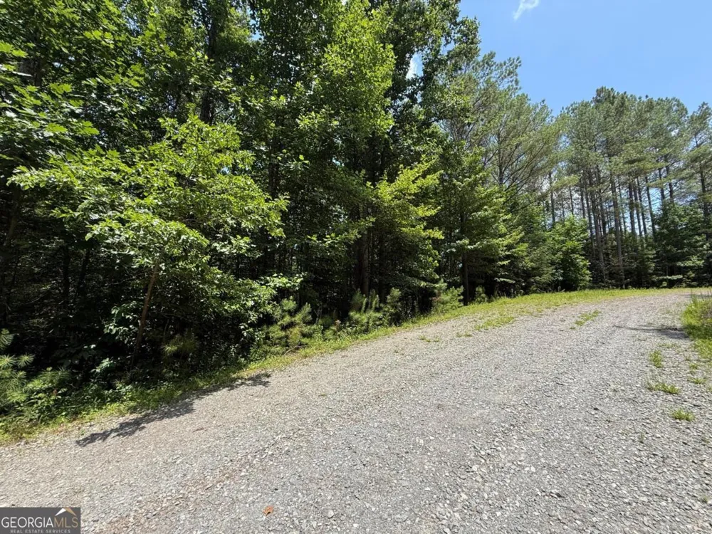 LOT E9 Reece Mountain RD Ellijay, GA 30536