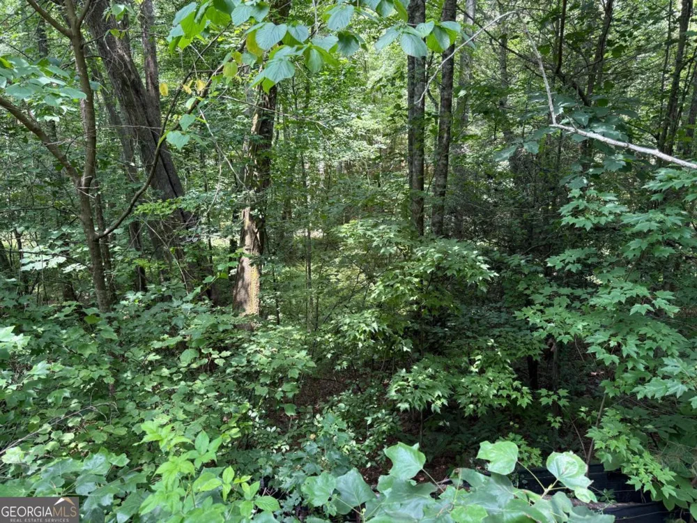 LOT E9 Reece Mountain RD Ellijay, GA 30536