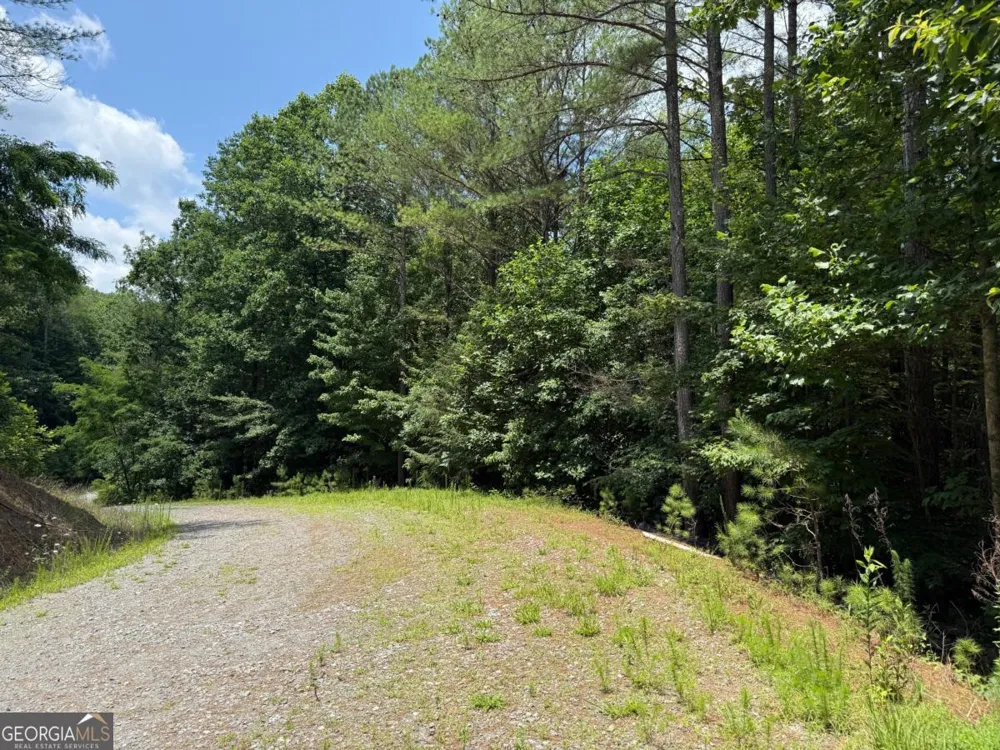 LOT E9 Reece Mountain RD Ellijay, GA 30536