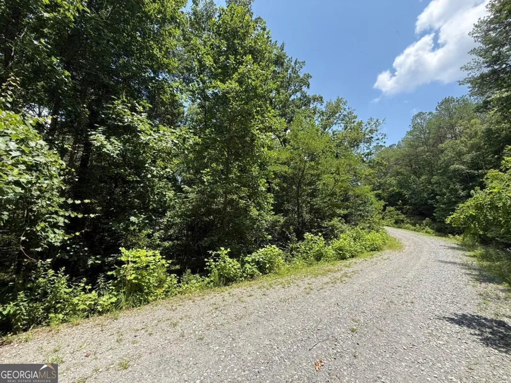 LOT E9 Reece Mountain RD Ellijay, GA 30536