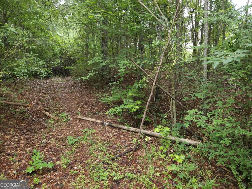 0 Potash RD Cedartown, GA 30125