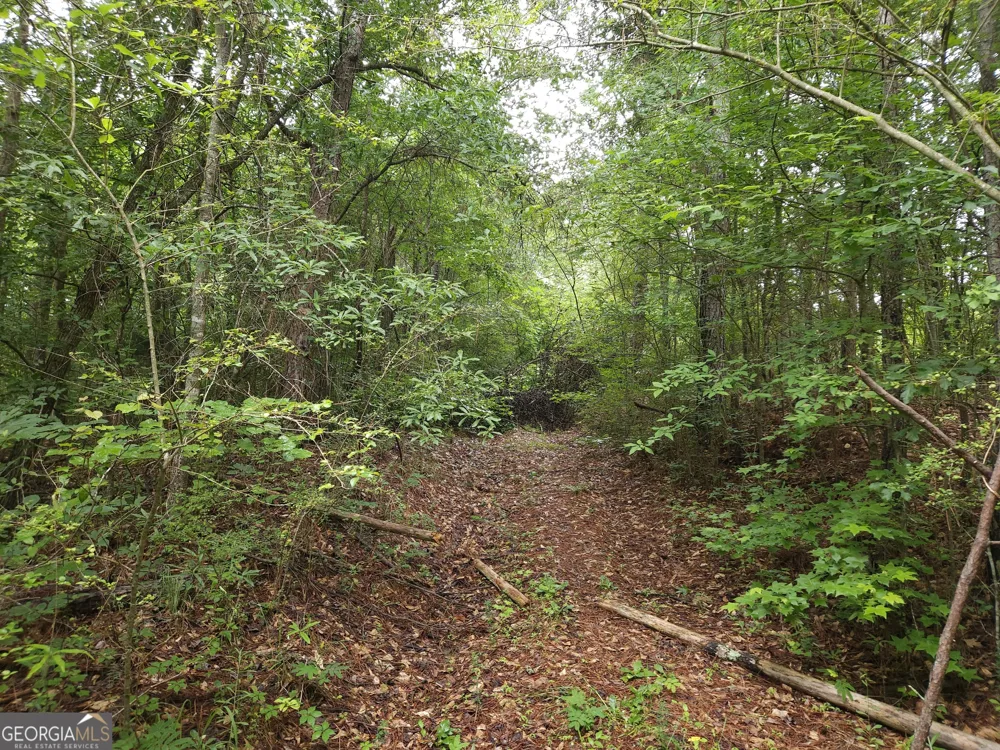 0 Potash RD Cedartown, GA 30125