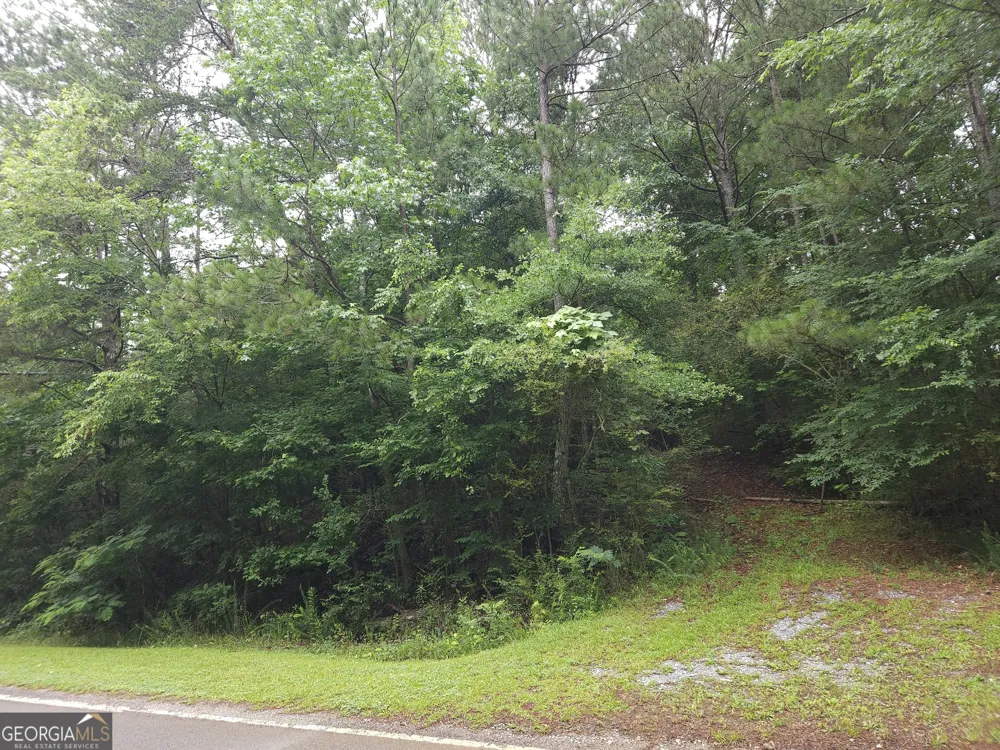 0 Potash RD Cedartown, GA 30125