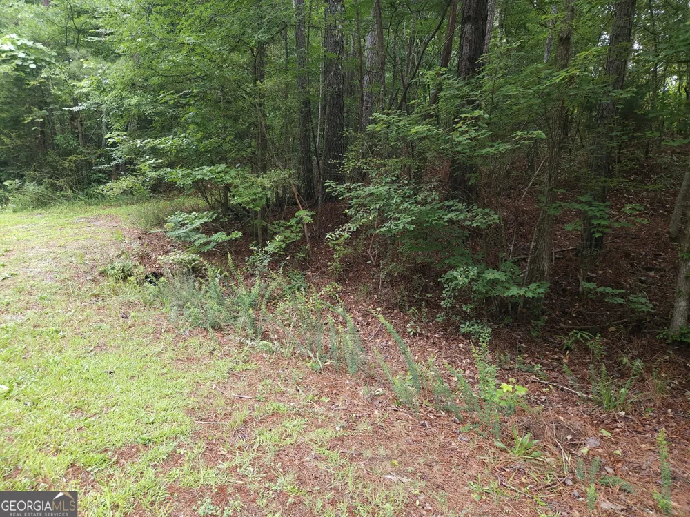 0 Potash RD Cedartown, GA 30125