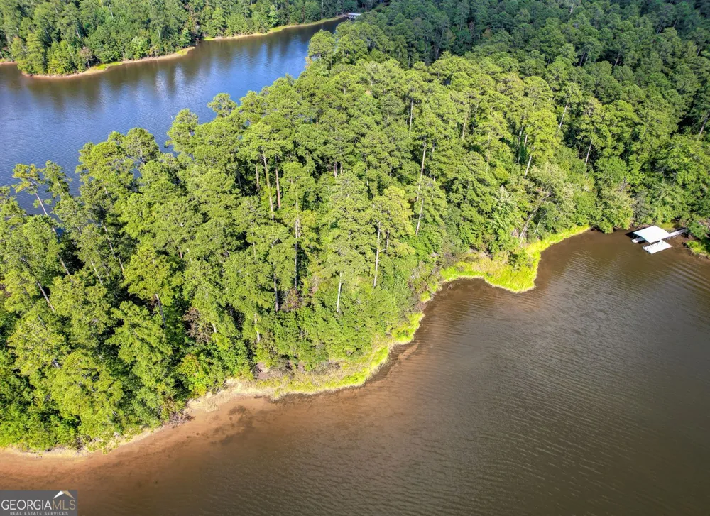 1309 Shimmering Water CV Tignall, GA 30668