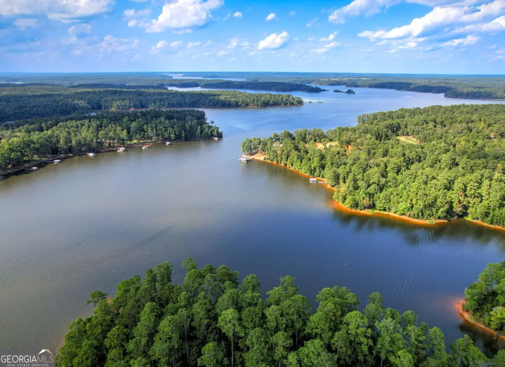 1309 Shimmering Water CV Tignall, GA 30668