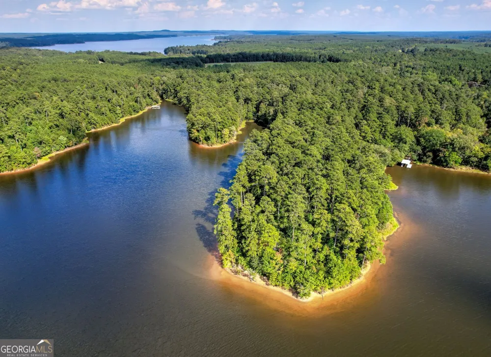 1309 Shimmering Water CV Tignall, GA 30668