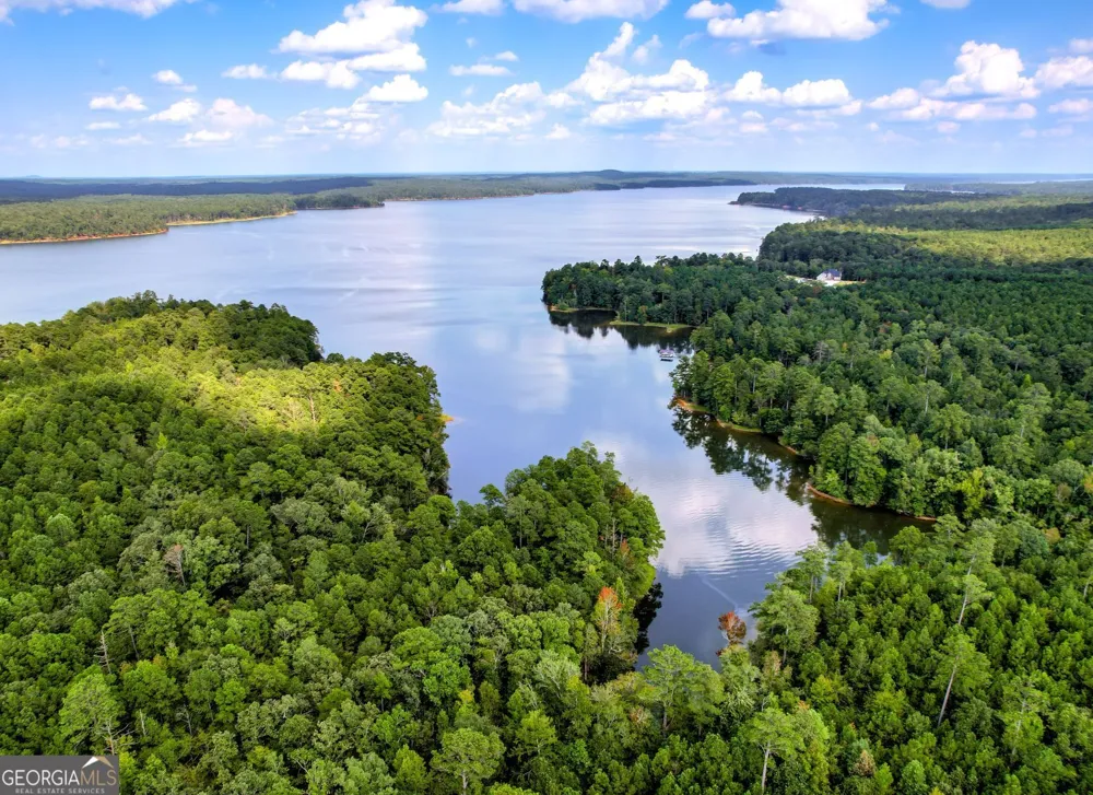 1309 Shimmering Water CV Tignall, GA 30668